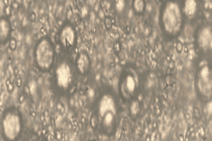Oil Droplets After Evaporator