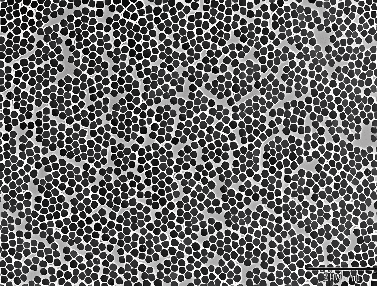 Colloidal Silica vs. Fumed Silica - AMS Applied Material Solutions