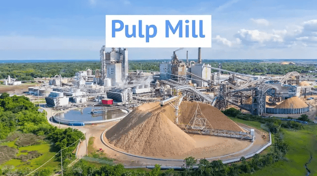 Pulp Mill