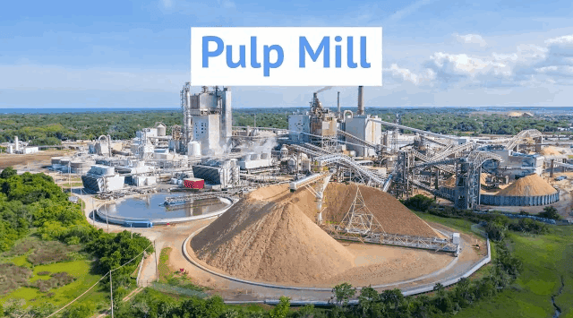 Pulp mill deals